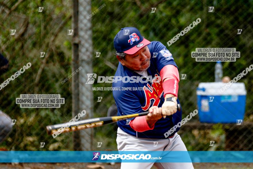 XXXII Brasileirão de Softbol