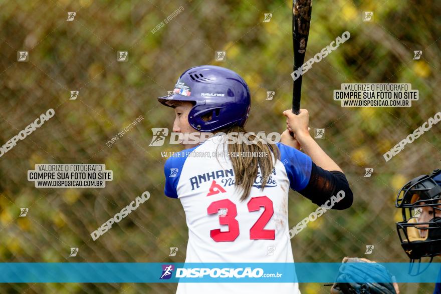 XXXII Brasileirão de Softbol