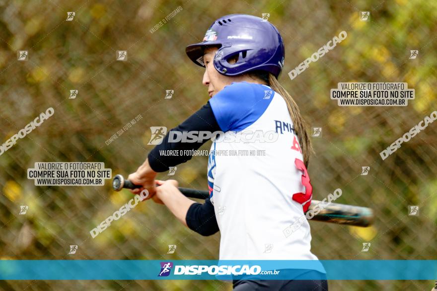 XXXII Brasileirão de Softbol