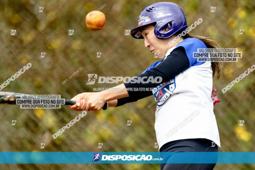 XXXII Brasileirão de Softbol