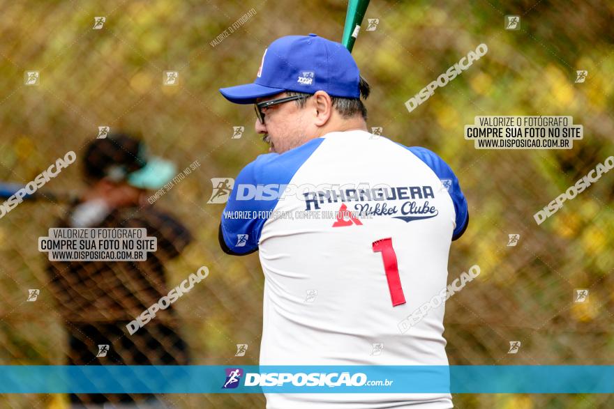 XXXII Brasileirão de Softbol