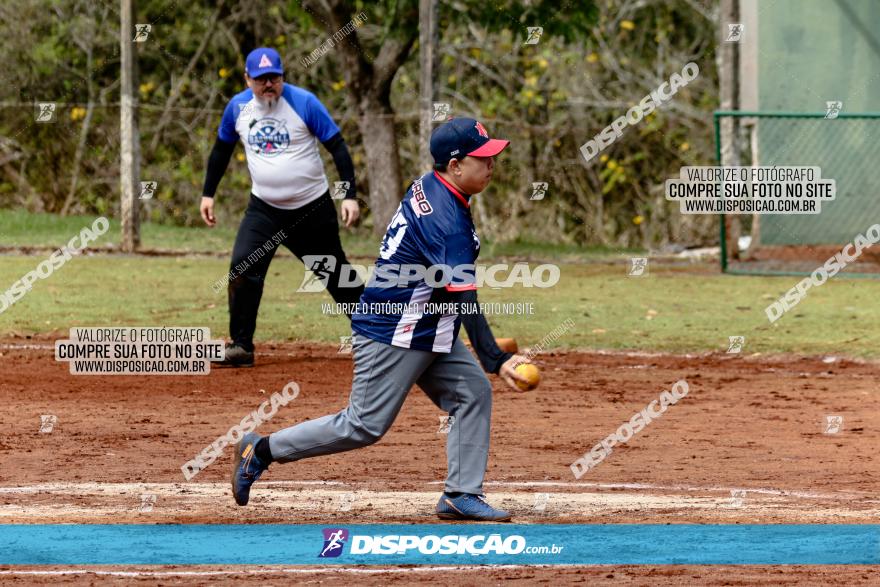 XXXII Brasileirão de Softbol