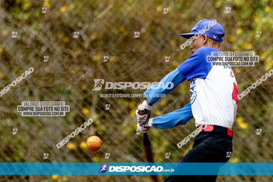 XXXII Brasileirão de Softbol