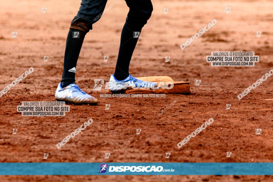 XXXII Brasileirão de Softbol