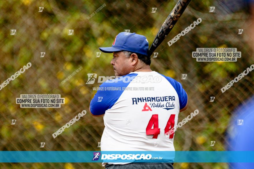 XXXII Brasileirão de Softbol