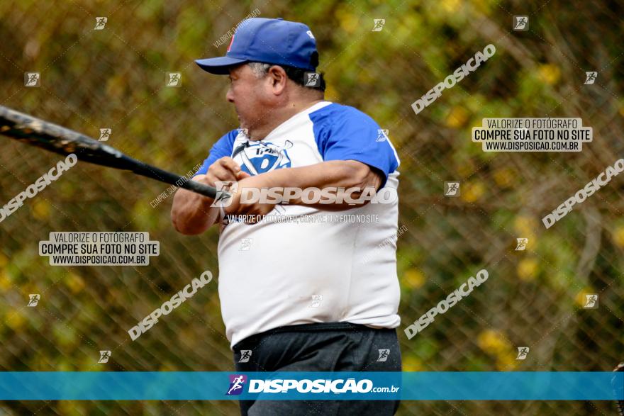 XXXII Brasileirão de Softbol