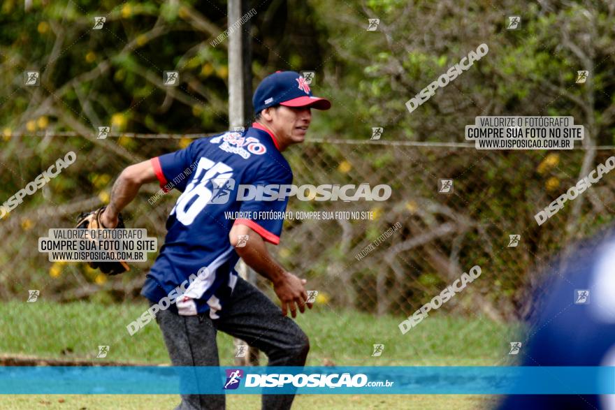 XXXII Brasileirão de Softbol