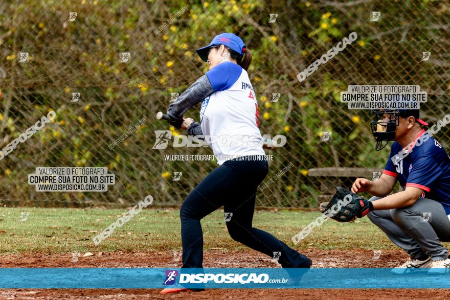 XXXII Brasileirão de Softbol