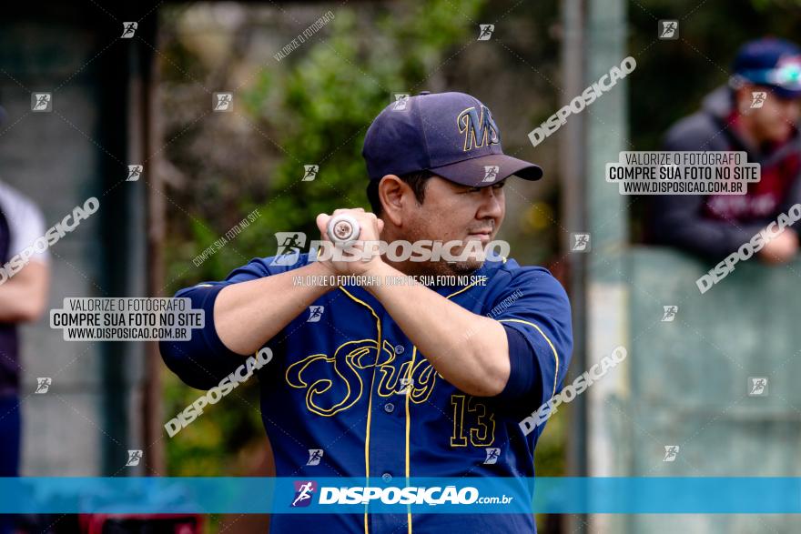 XXXII Brasileirão de Softbol