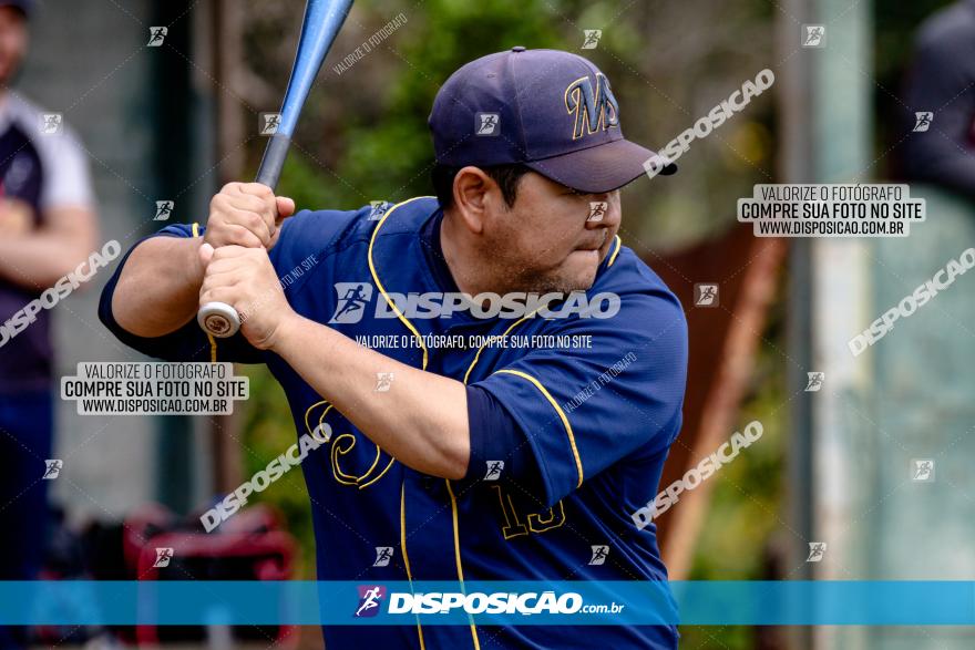 XXXII Brasileirão de Softbol