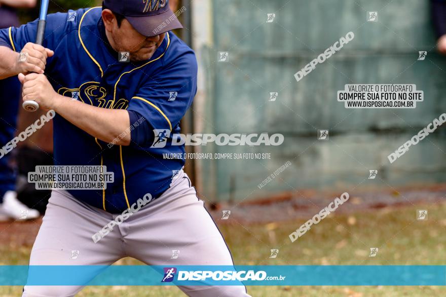 XXXII Brasileirão de Softbol