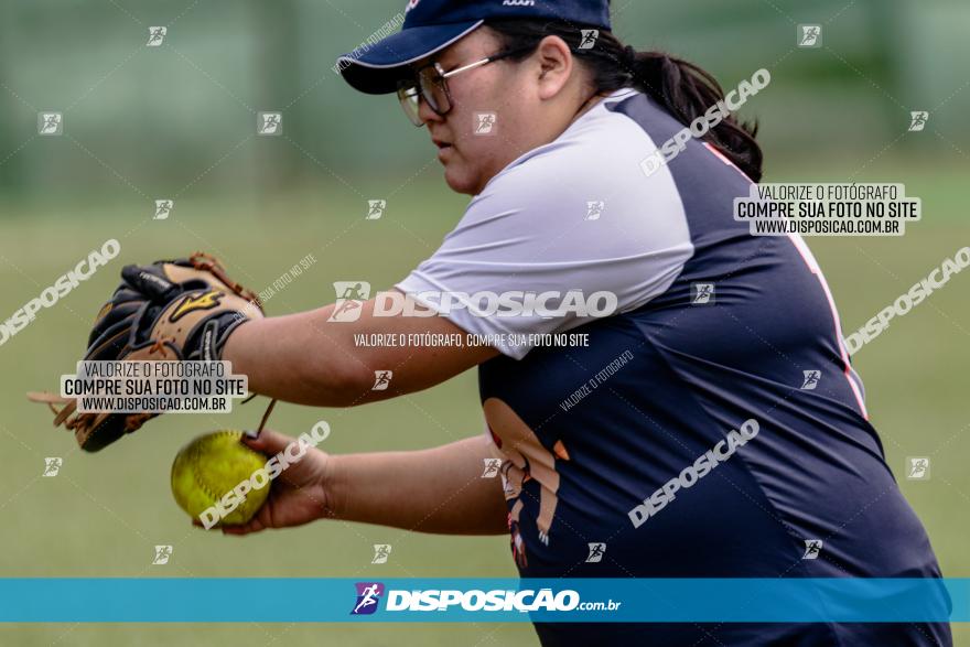 XXXII Brasileirão de Softbol