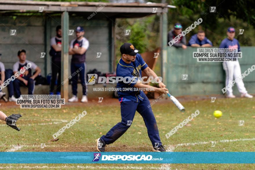 XXXII Brasileirão de Softbol