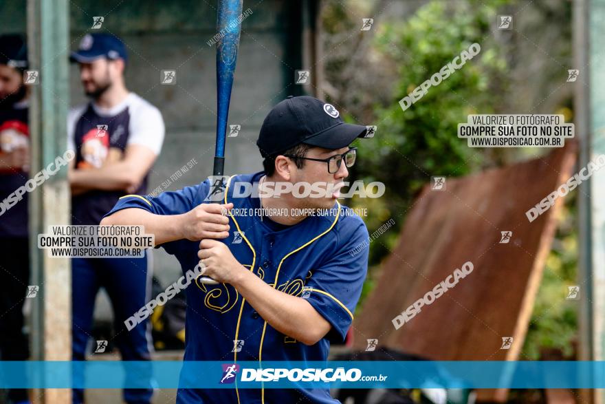 XXXII Brasileirão de Softbol