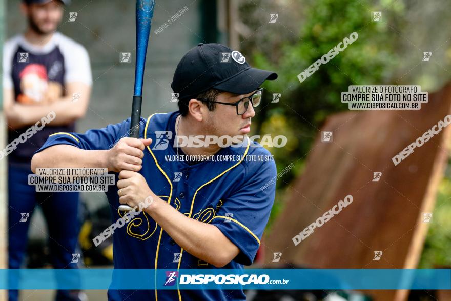 XXXII Brasileirão de Softbol