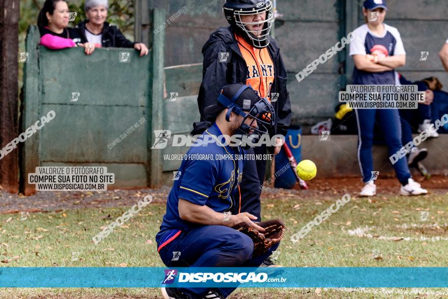 XXXII Brasileirão de Softbol