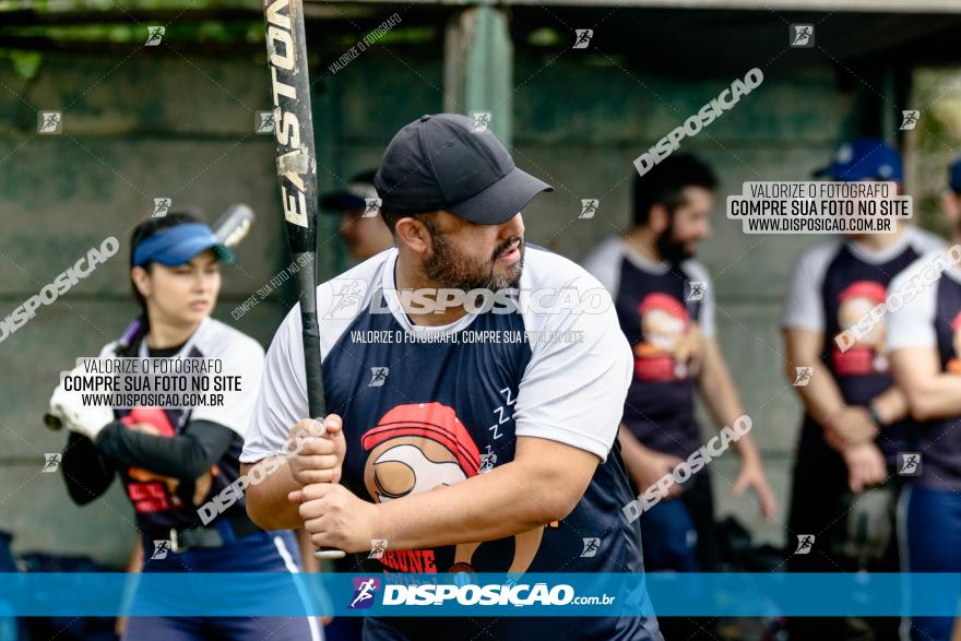 XXXII Brasileirão de Softbol