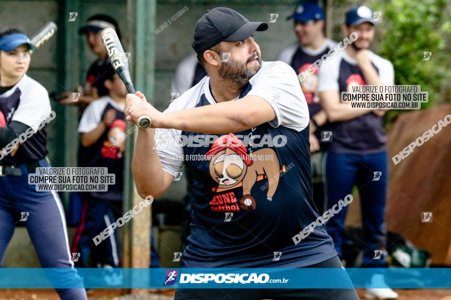 XXXII Brasileirão de Softbol