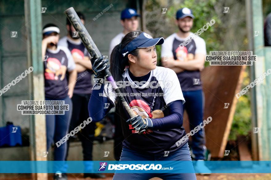 XXXII Brasileirão de Softbol