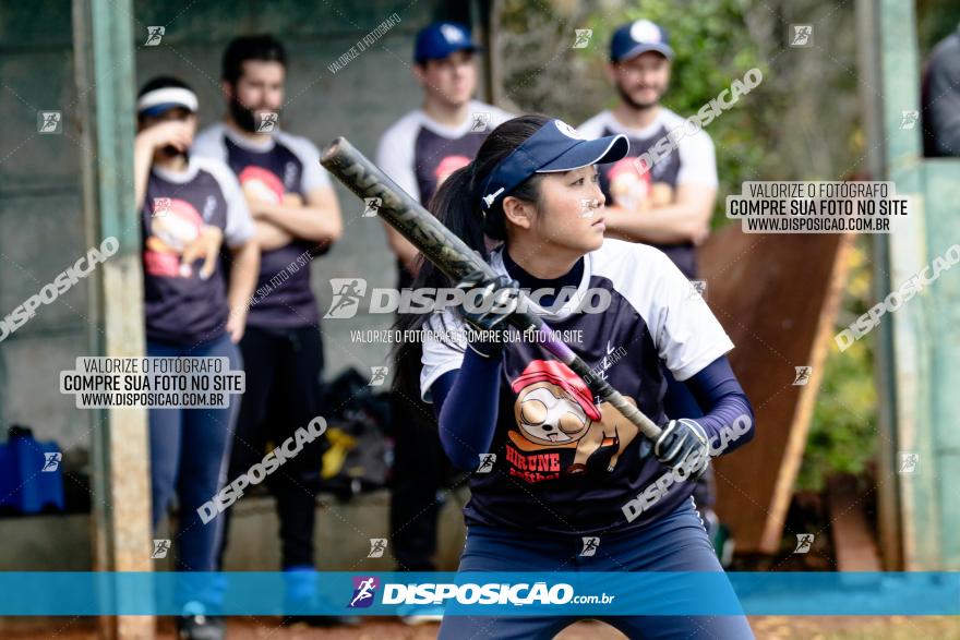 XXXII Brasileirão de Softbol