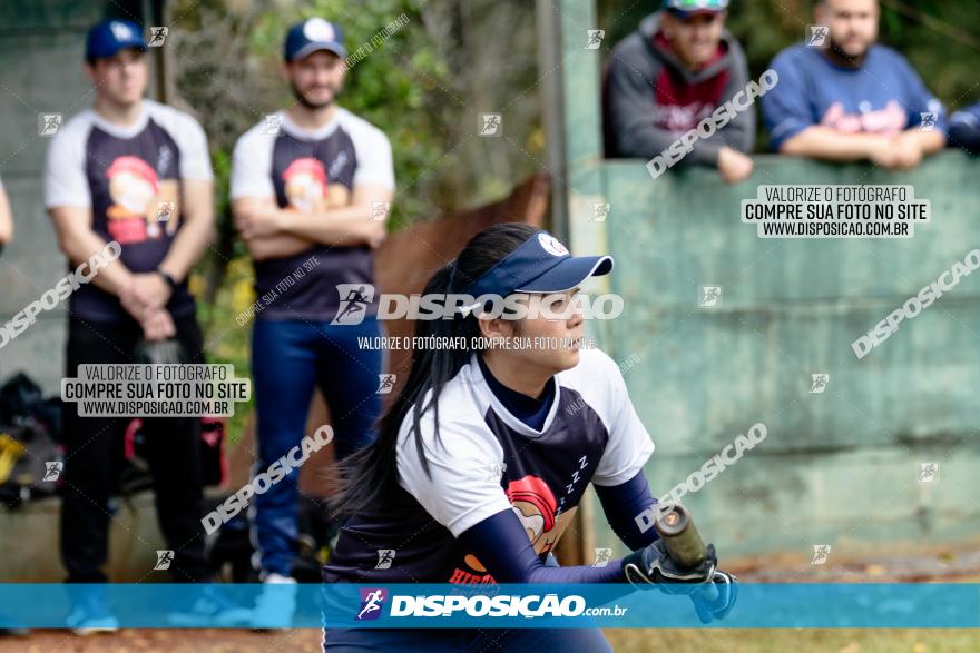 XXXII Brasileirão de Softbol