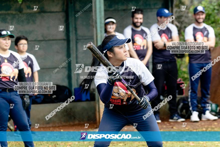 XXXII Brasileirão de Softbol