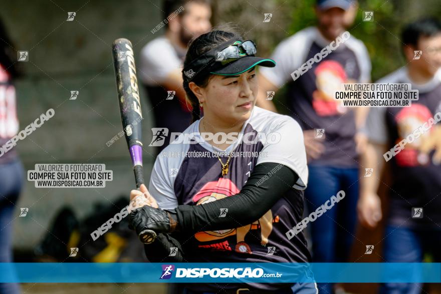 XXXII Brasileirão de Softbol