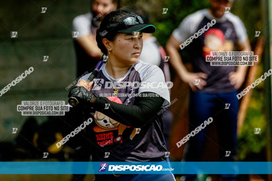 XXXII Brasileirão de Softbol