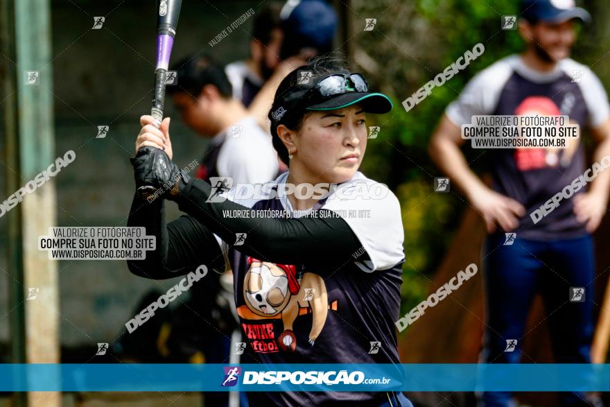 XXXII Brasileirão de Softbol