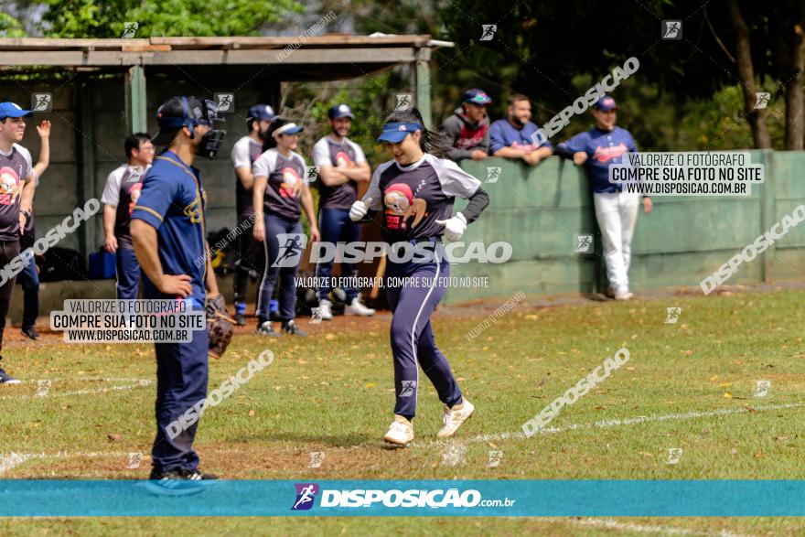 XXXII Brasileirão de Softbol