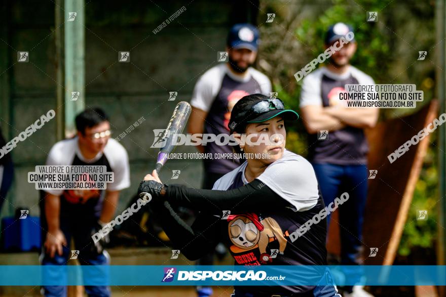 XXXII Brasileirão de Softbol