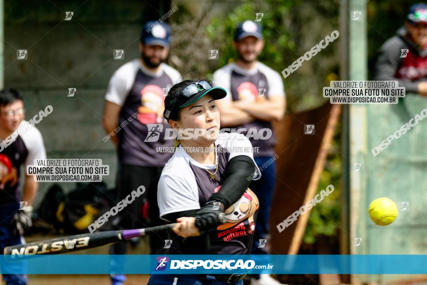 XXXII Brasileirão de Softbol