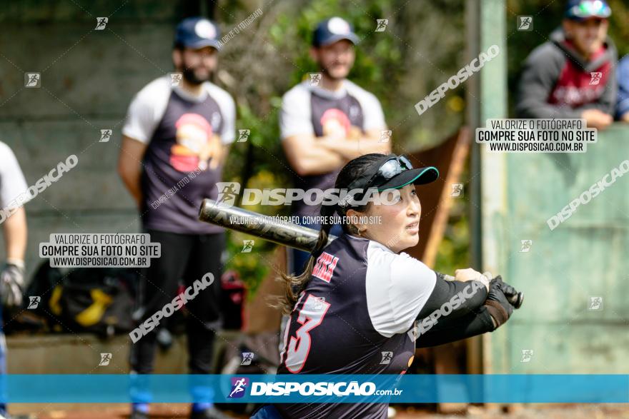 XXXII Brasileirão de Softbol