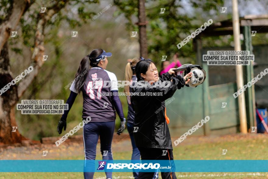 XXXII Brasileirão de Softbol