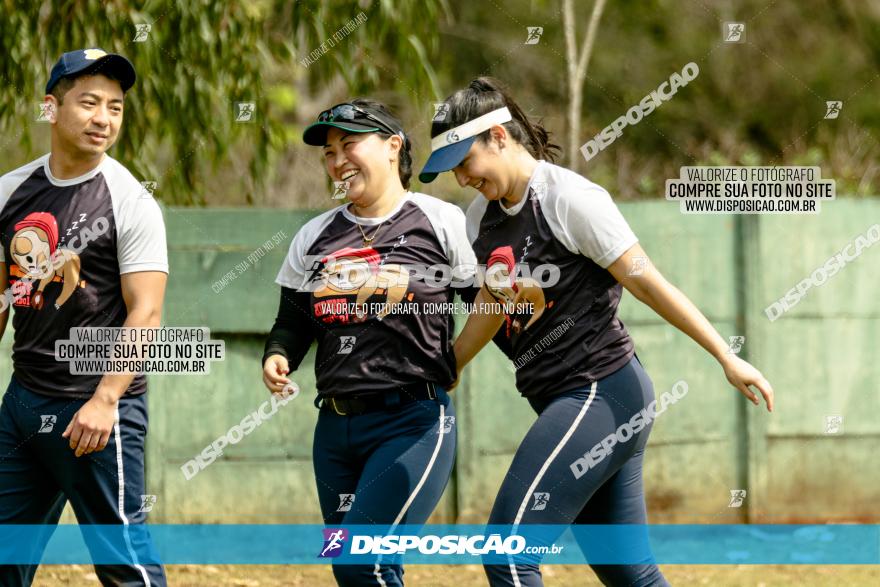 XXXII Brasileirão de Softbol