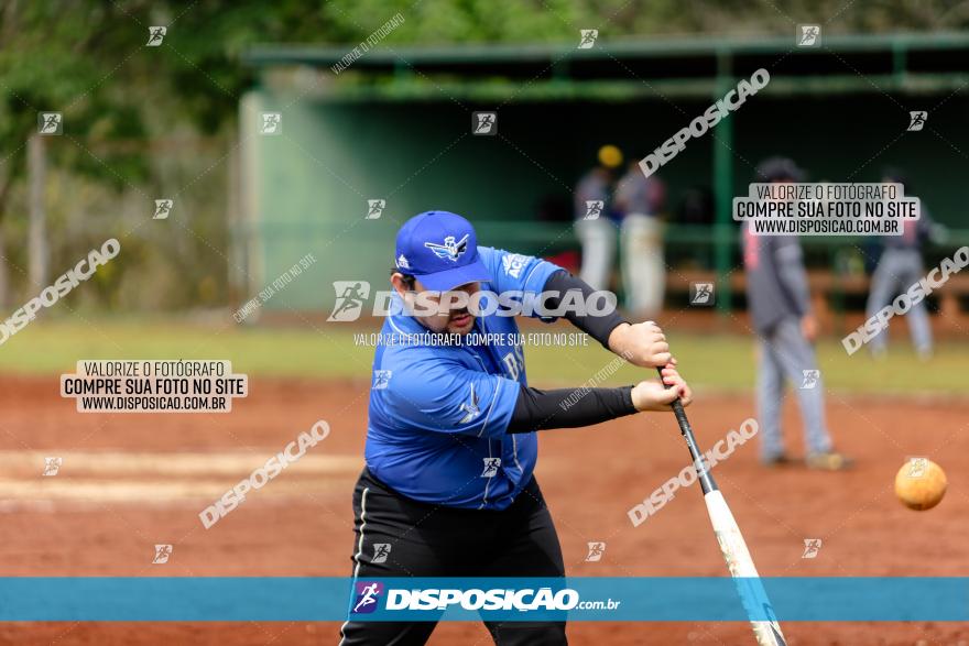 XXXII Brasileirão de Softbol