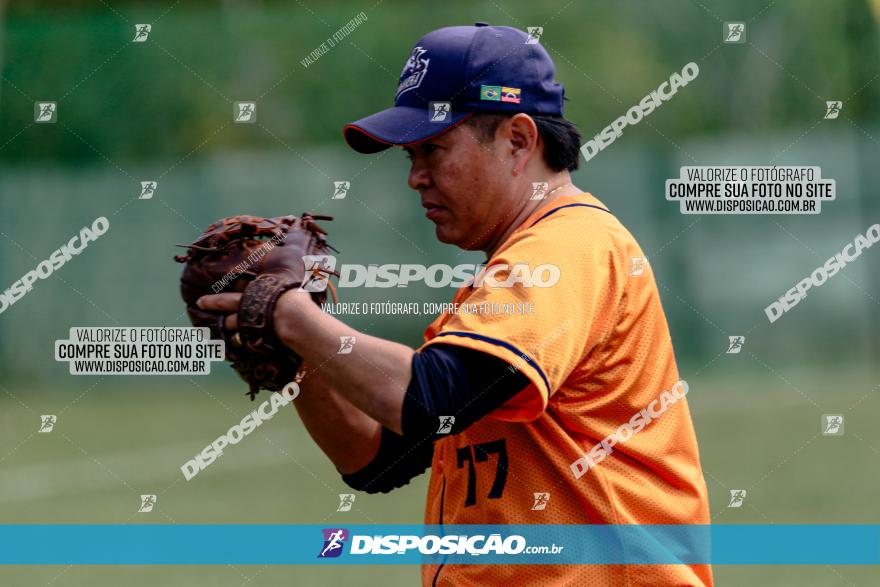 XXXII Brasileirão de Softbol