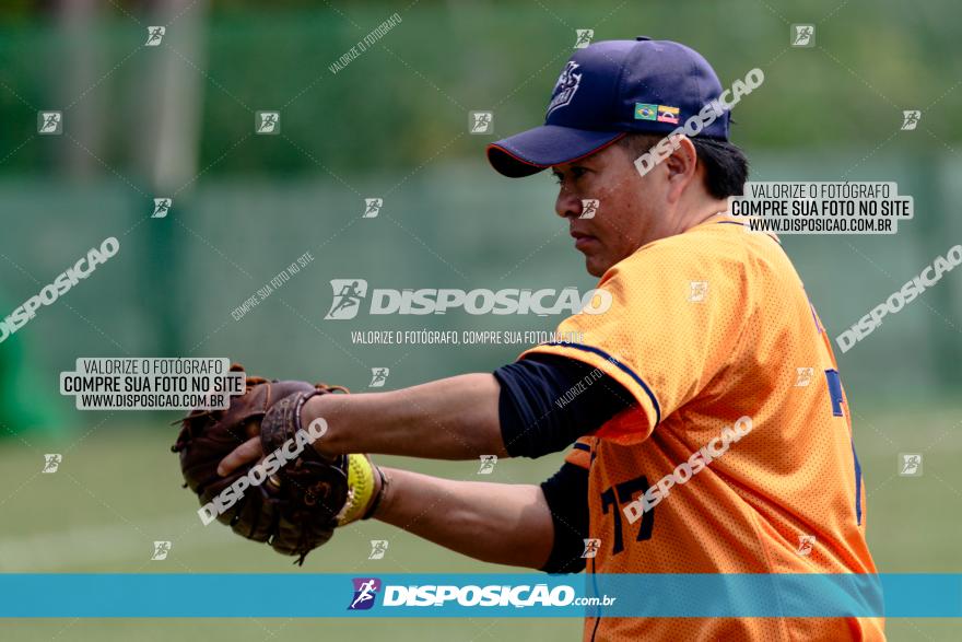 XXXII Brasileirão de Softbol