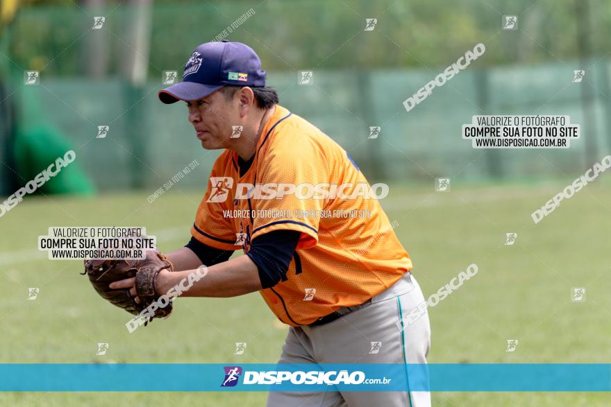 XXXII Brasileirão de Softbol