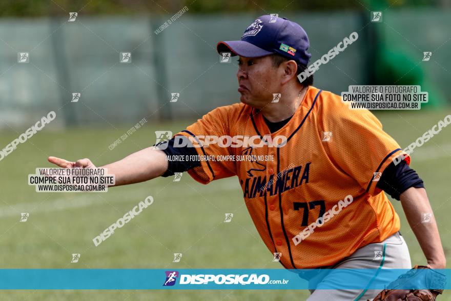 XXXII Brasileirão de Softbol