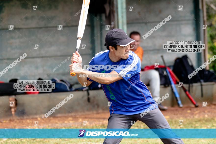 XXXII Brasileirão de Softbol