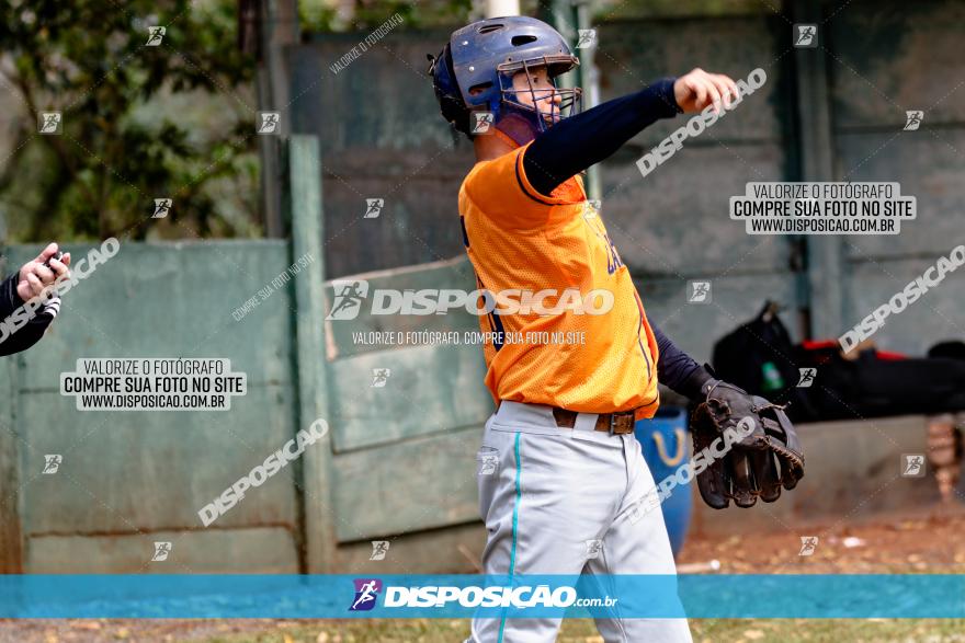 XXXII Brasileirão de Softbol