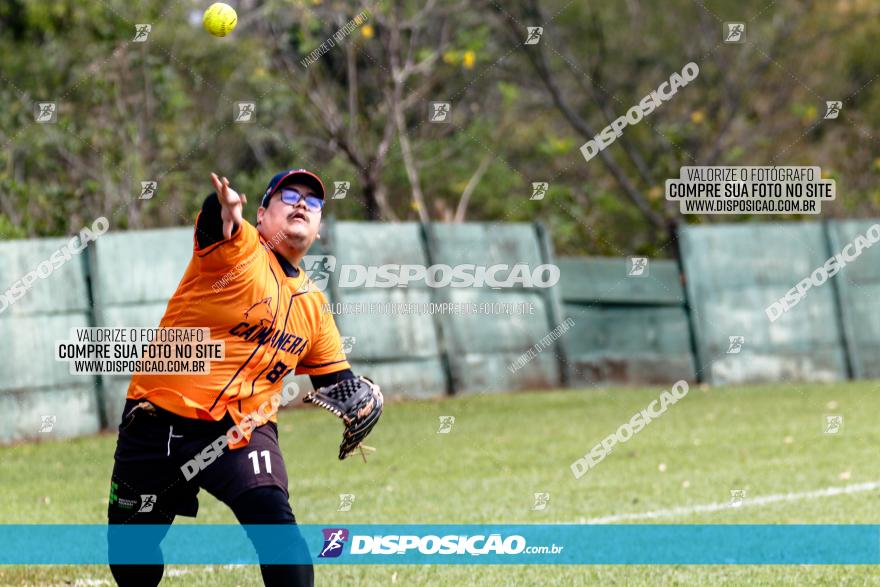 XXXII Brasileirão de Softbol