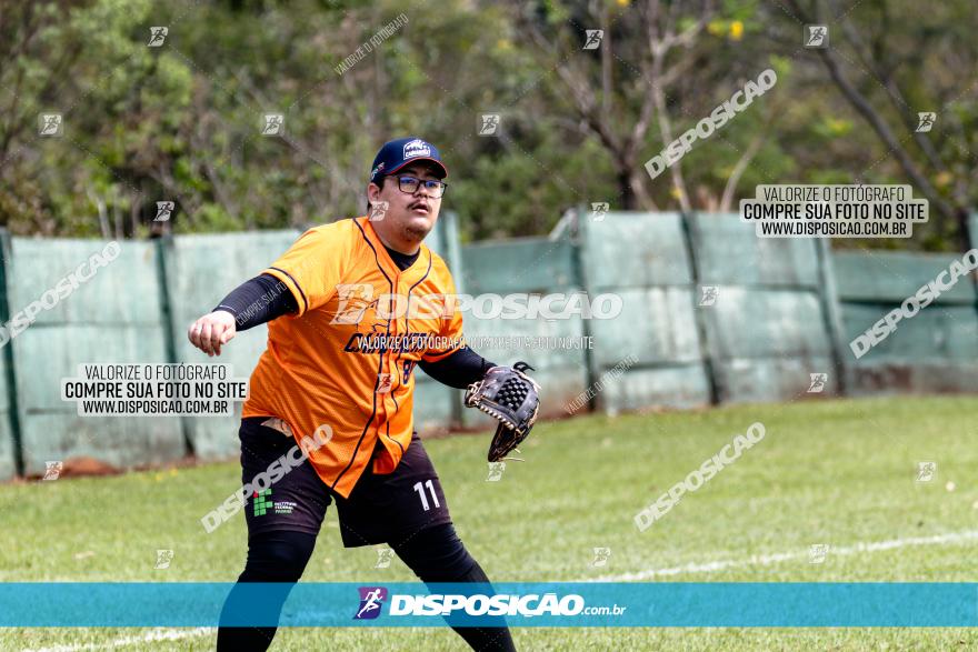 XXXII Brasileirão de Softbol