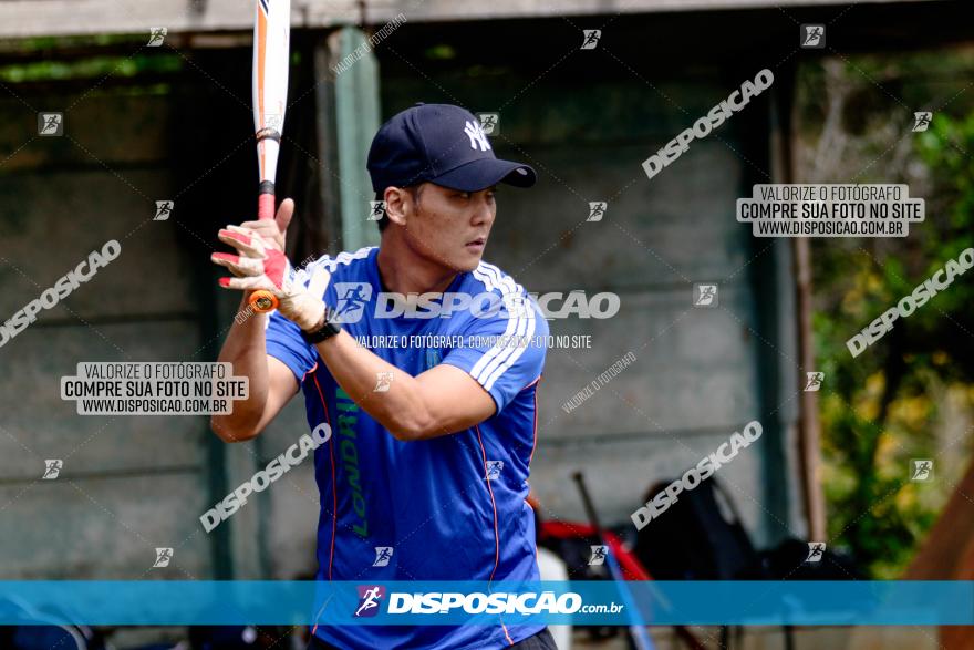 XXXII Brasileirão de Softbol