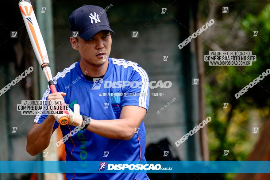 XXXII Brasileirão de Softbol