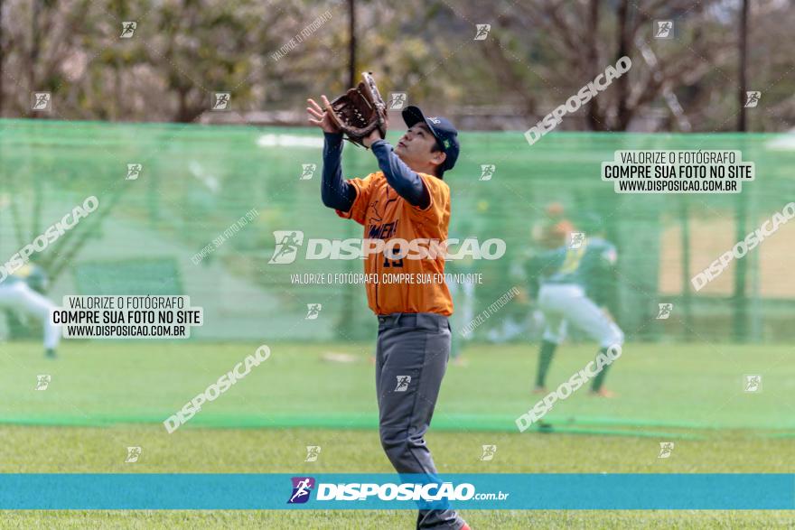 XXXII Brasileirão de Softbol