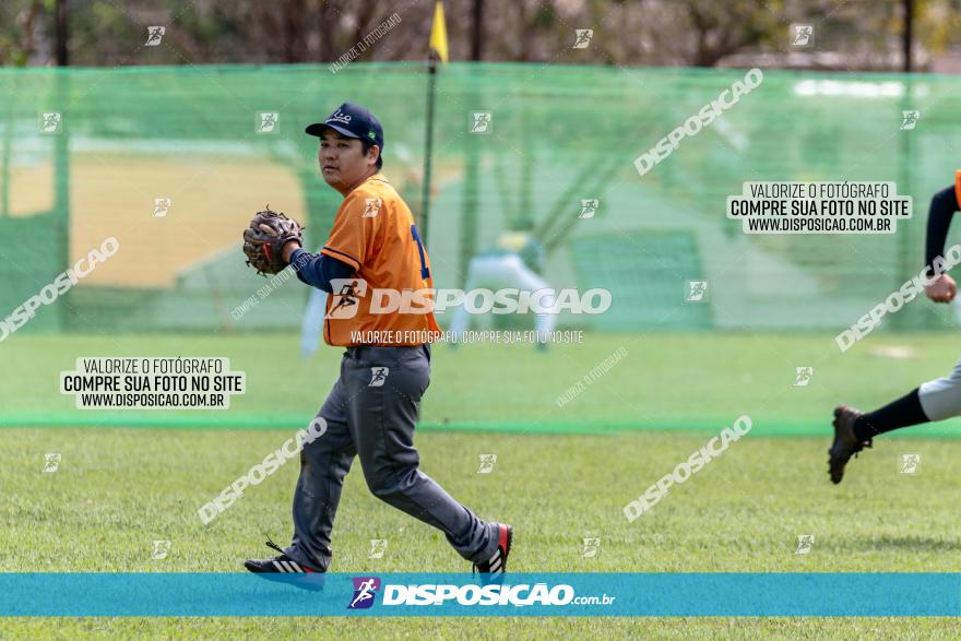 XXXII Brasileirão de Softbol