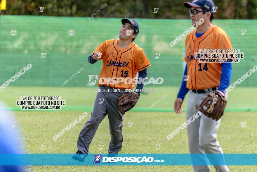 XXXII Brasileirão de Softbol