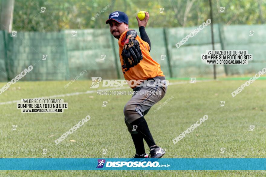 XXXII Brasileirão de Softbol